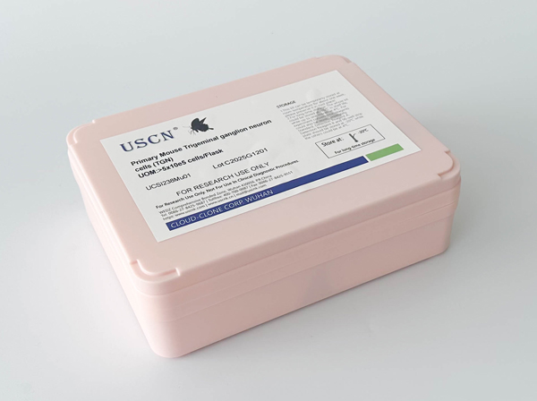 貓舌表皮細(xì)胞(LiEC)原代細(xì)胞