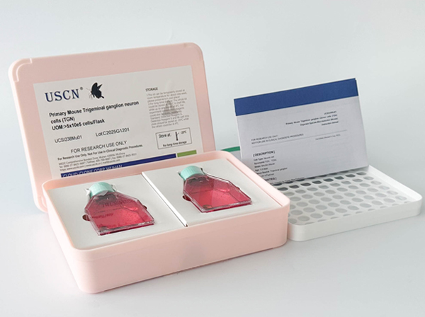 貓舌表皮細(xì)胞(LiEC)原代細(xì)胞